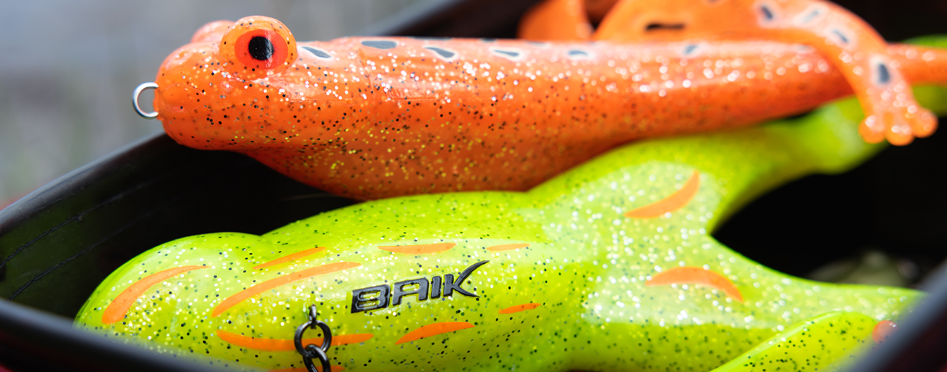 Les coloris Baik